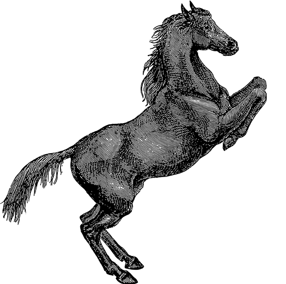 雷竞技